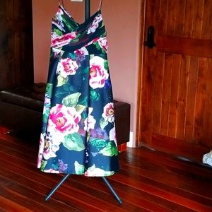 Adrianna Papell Gorgeous  dress.